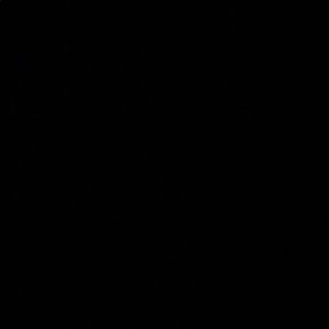 Meet your Posher, Ahmir